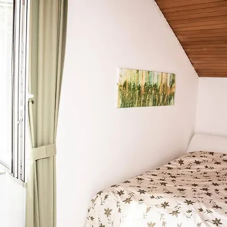 Pouringraz Fuer Kunst- Und Tennisliebhaber *