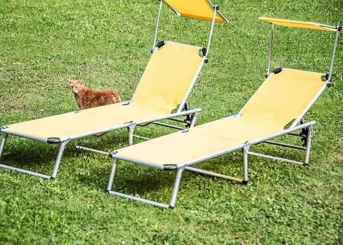 Pouringraz Fuer Kunst- Und Tennisliebhaber