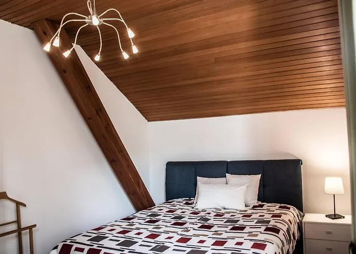 Pouringraz Fuer Kunst- Und Tennisliebhaber Graz