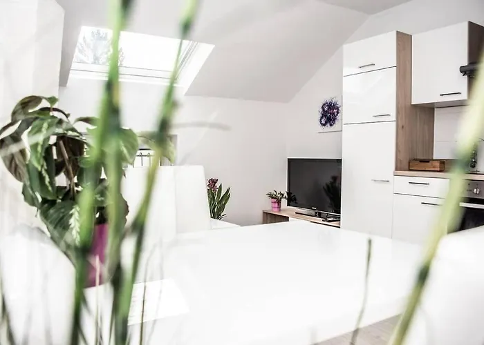 Pouringraz Fuer Kunst- Und Tennisliebhaber Apartment